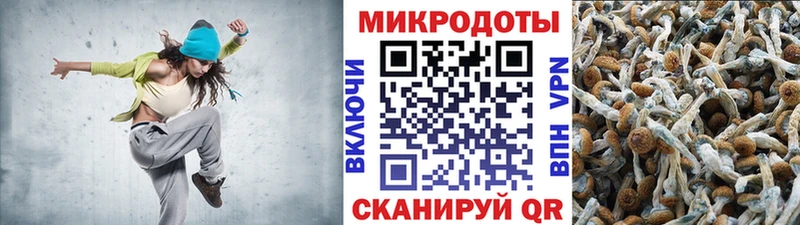 Псилоцибиновые грибы Psilocybine cubensis  купить  сайты  Енисейск 